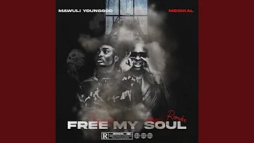 FREE MY SOUL (feat. Medikal) (Remix)