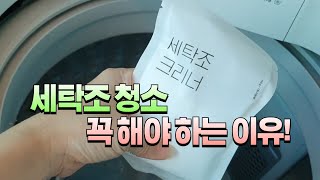 세탁기 진짜 더럽네요/세탁조 크리너로 청소하기