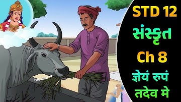 Std 12 Sanskrit Ch 8 || ज्ञेयं रुपं तदेव मे || Std 12 Sanskrit Ch 8 Swadhyay Solutions || g shala ||