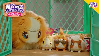 Little Live Pets | Mama Surprise TVC 30 screenshot 3