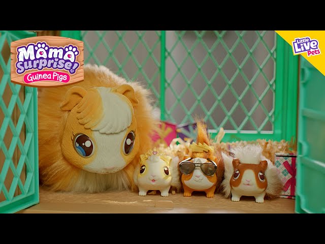 Where to Buy Little Live Pets Mama Surprise, 2022's Hottest Toy