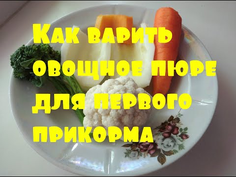 Как варить овощное пюре для первого прикорма