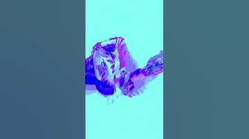 Hwcanib Sights and sounds by Kodiak #generativeart #audioreactive #maxmsp #videoart #videosynthesis