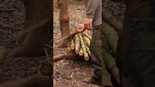 Building A Survival Bed #bushcraft #survival #alone