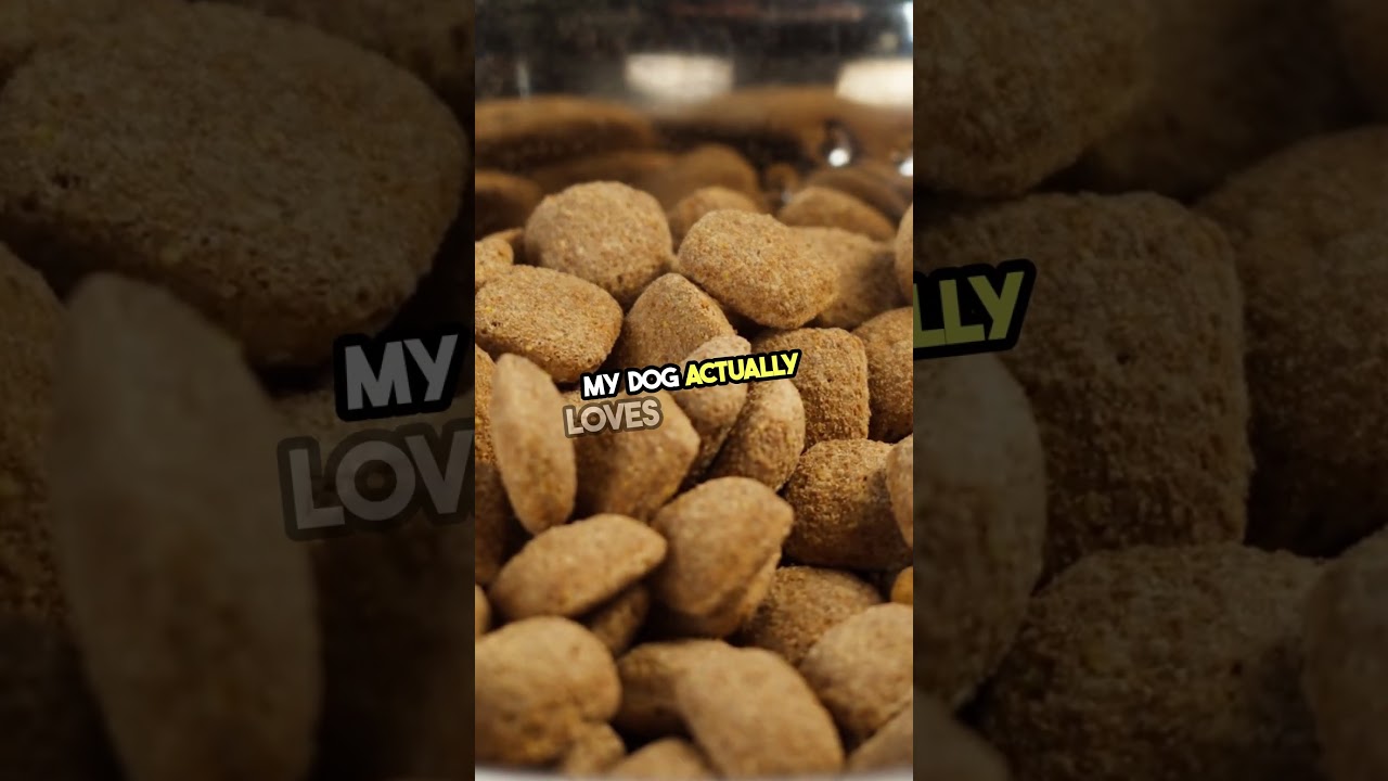 Plant-Based Pet Nutrition? Find Out the Latest Trends! 