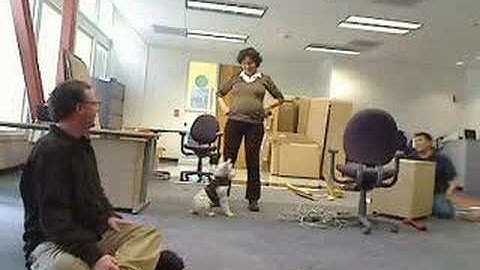 Berkeley Kuali Office - Day Two