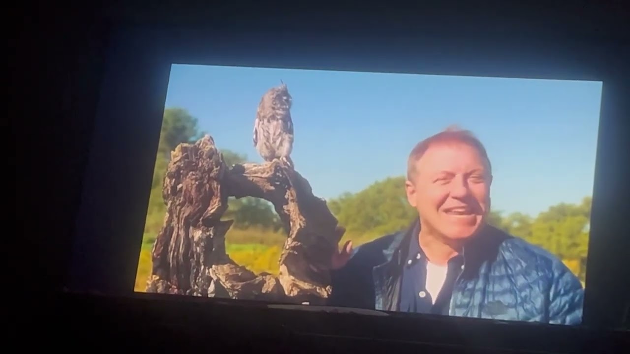 Owl OdysseyWild Kratts: Season 7, Episode  4 part 1 