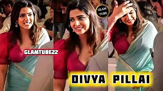 Divya Pillais Charming Presence In Malayalam And South Cinema