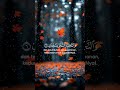 Surah Ar-Rahman | Heart-Touching Recitation #SurahArRahman  #BeautifulTilawat   #QuranForPeace