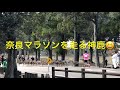 奈良マラソン。奈良公園の鹿がランナーに混じって走り出す。😆