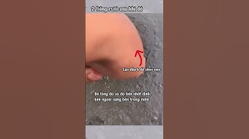 Điều gì sẽ xảy ra với bê tông sau khi đổ 4 tiếng |Sàn hộp nhựa rỗng | Tbox Việt Nam