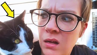 A Cat Jumps On Woman's Shoulder  and Won't Let Her Go.The woman is shocked and...