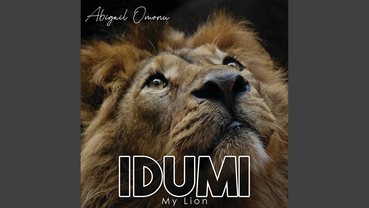 Idumi (My Lion)