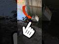 Peculiar treasure dragged to shore #magnetfishing #treasurehunt #evidence