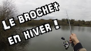 Pêche du brochet au leurre en hiver : tuto rapide sur ma technique favorite