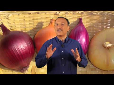 Video: Diverse varietà di cipolle - Quanti tipi di cipolle ci sono