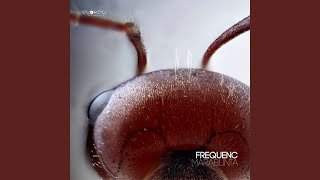Download lagu Marabunta (JCruz Remix)
