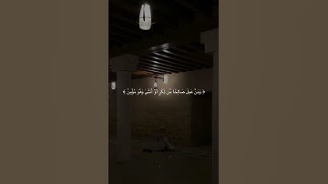 تلاوه هادئه #قران كريم #اكسبلور