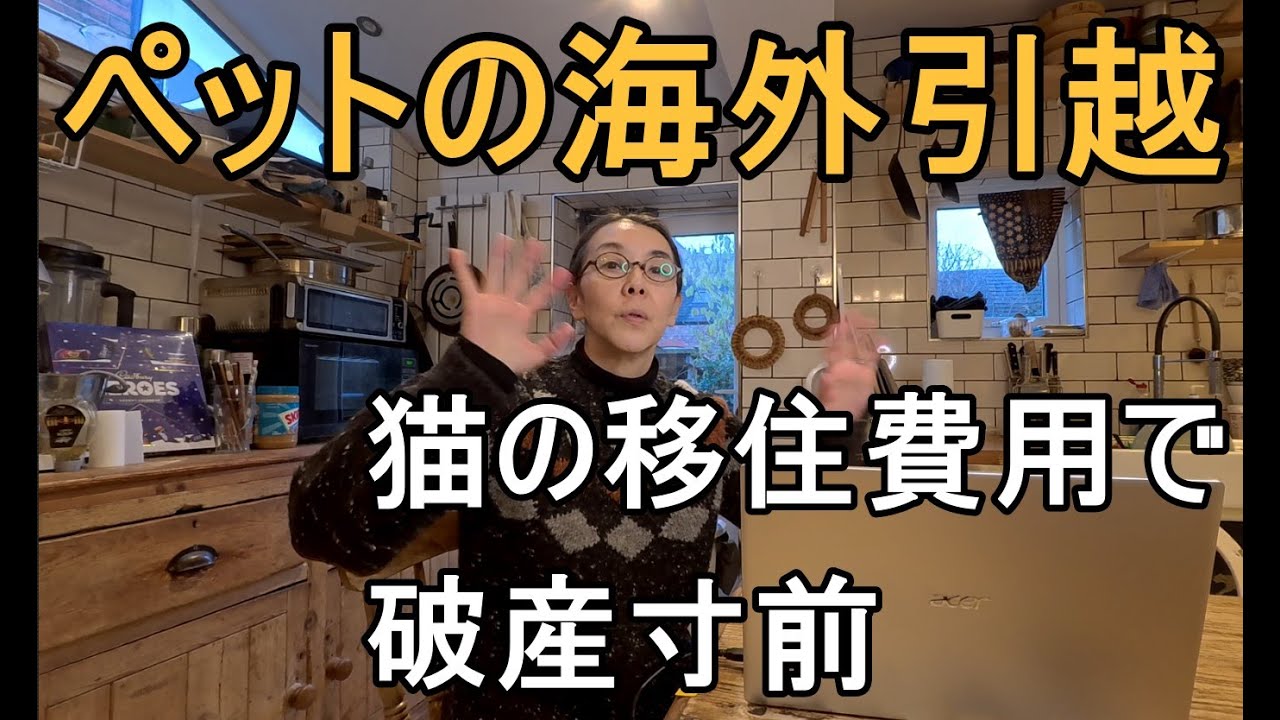 猫連れてイギリスから日本へ移住する費用で家計は火の車：国際家族の日々の食事と会話（バイリンガル字幕付き）：慣れないイギリスのブラックジョーク