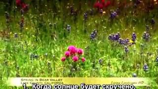 Саид Карама - Сура "ат-Таквир"