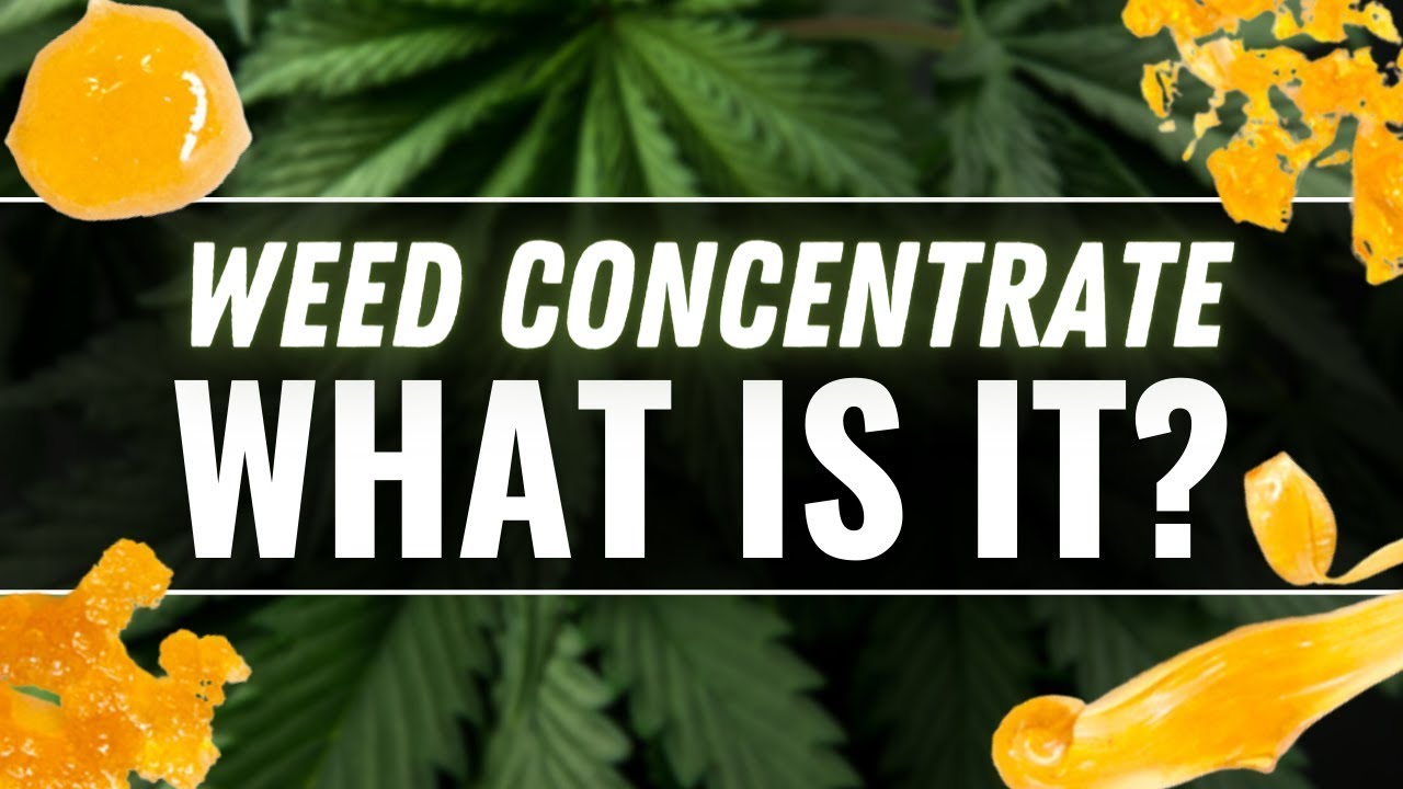 What are Concentrates? // Different Types of Concentrates // Favorite Ways to D*b
