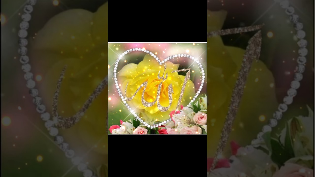 Islamic dpz collection❤️ || Allah Muhammad name dp images for WhatsApp |Beautiful |dpzlovers 