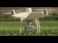 DJI Phantom 4 Multispectral. Гибридный дрон. Hybrid drone. Hybrid drone for plant protection.