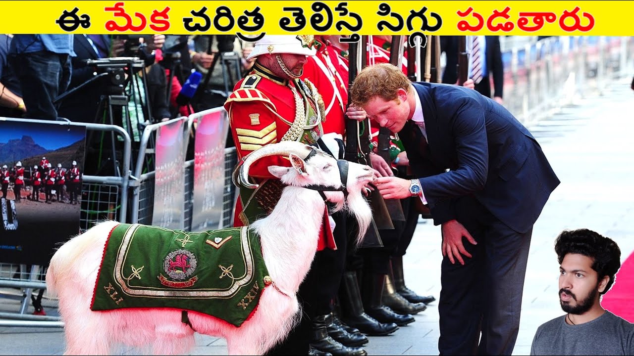 ఈ మేక చరిత్ర తెలిస్తే అది చూసి సిగ్గు పడతాం || Amazing Facts Ever Listen Part 225 || ALK Facts