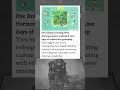 Animal Crossing Player Played Every Day
