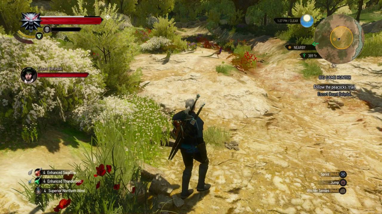 The Witcher 3 Blood and Wine - Big Game Hunter: Force 3/3 Peacocks To Open Tails Count Beledal Photo