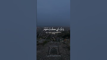 يا ليتني كنت معهم | كرومات قرآن ماهر المعيقلي سورة النساء #quran #explore #islamicscripture #muslim