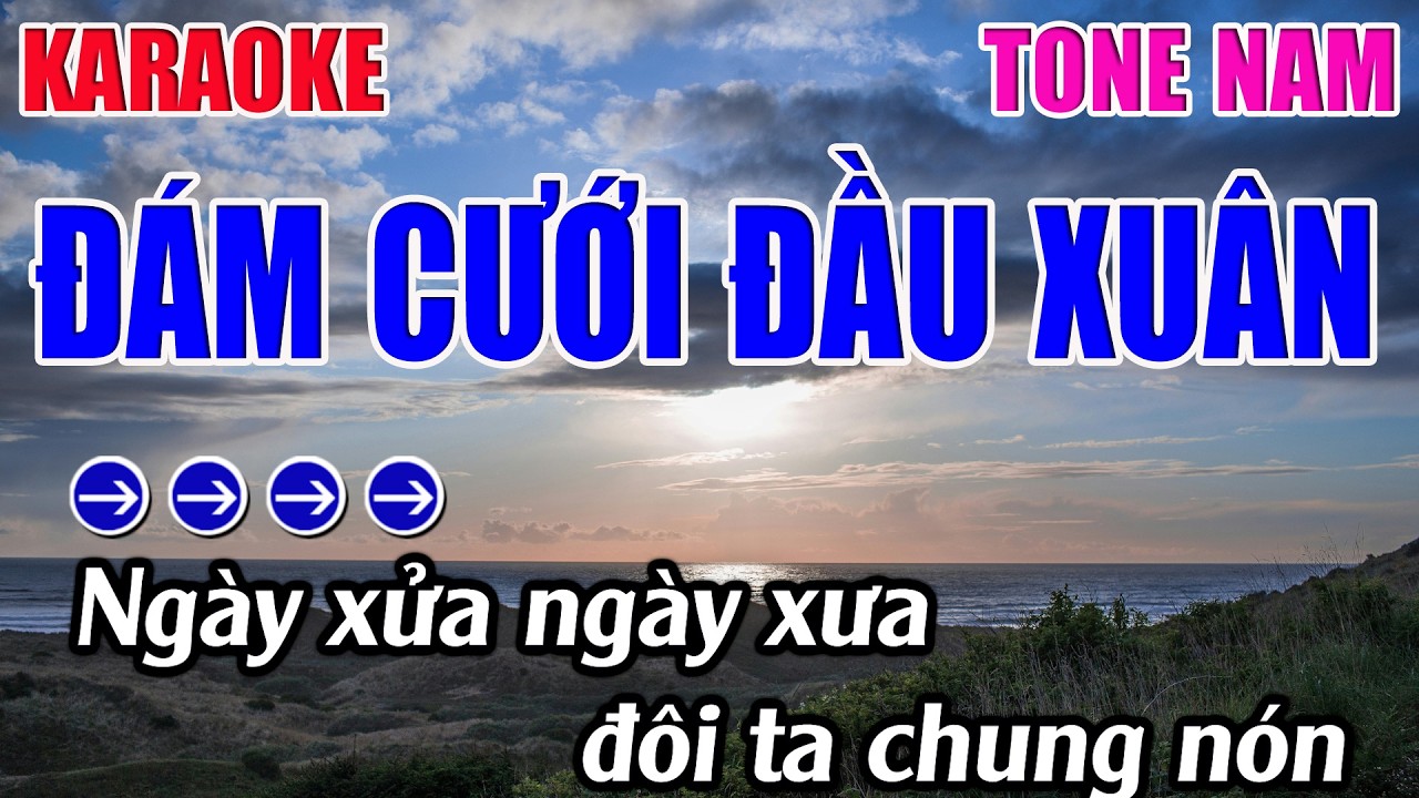 Đám Cưới Đầu Xuân Karaoke Tone Nam Karaoke 9999 - Beat Mới
