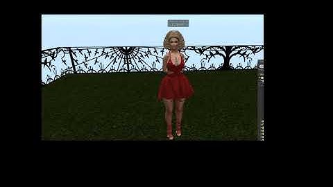 Secondlife : Media on a prim
