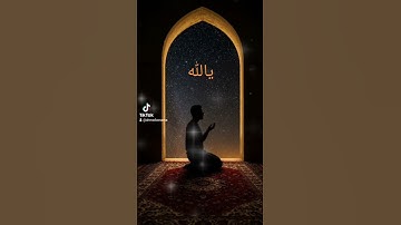 قران كريم تلاوة خاشعه #duet #المشيشي #اكسبلور #القزابري #المصحف #دويتو #الرحمن #تيك_توك