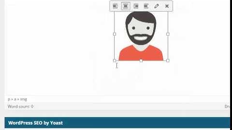 sửa kích thước hình ảnh khi sử dụng công cụ Add Media trong WordPress