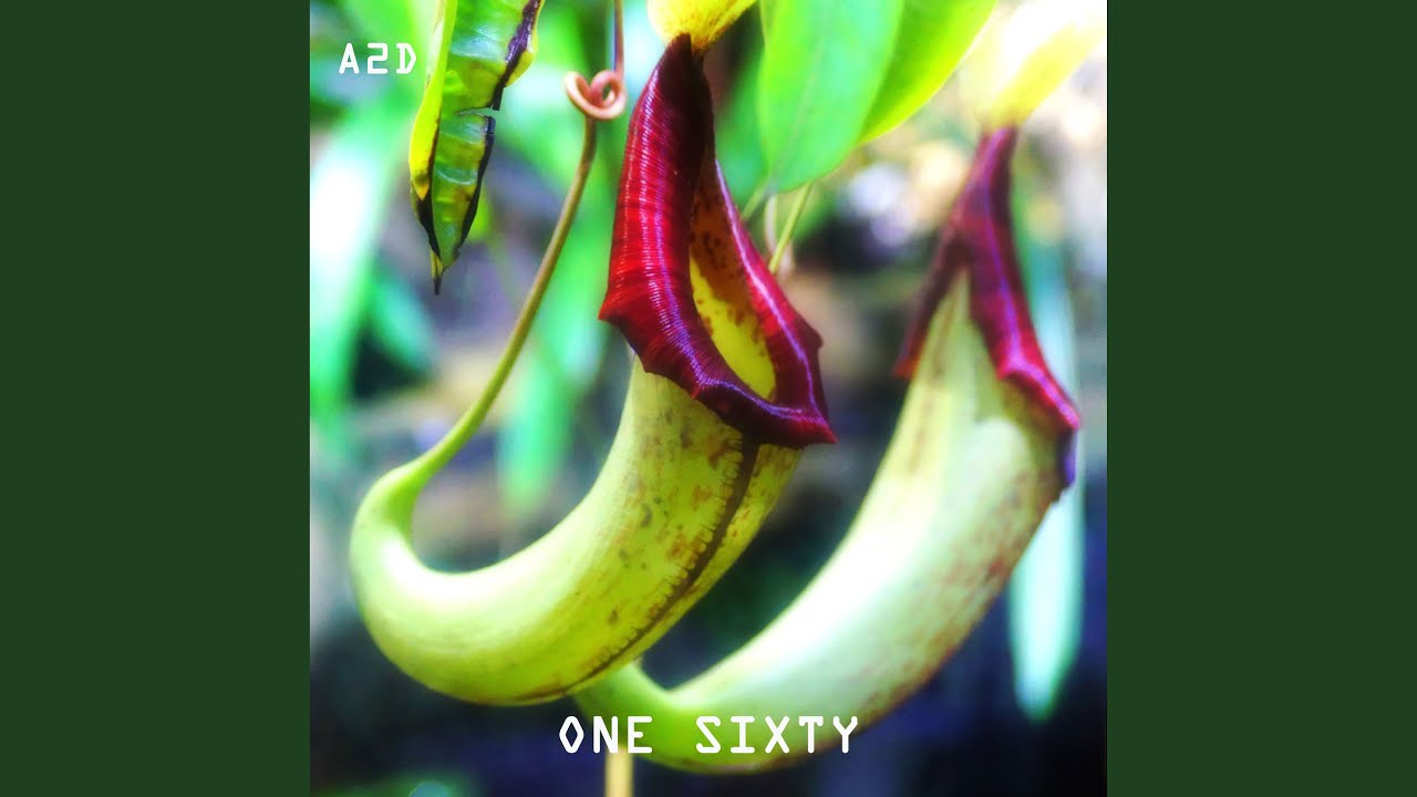 Watch One Sixty on YouTube Watch One Sixty on YouTube