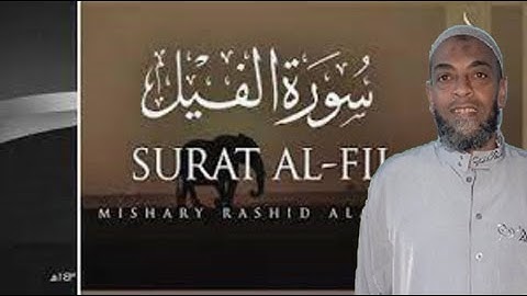 حالات واتس سورة الفيل للشيخ موسى الأنصارى بصوت جميل