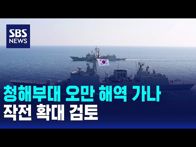 청해부대 오만 해역 가나..작전 확대 검토 / SBS