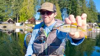 It’s Impossible to Catch a Bass on This Swimbait