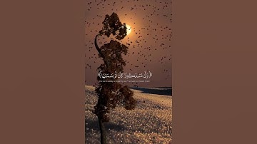 قرآن كريم بصوت جميل #قران_كريم #راحة_نفسية #اكسبلور #quran #المصحف