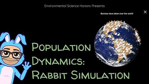 Population Dynamics: Rabbit Simulation Assignment Preview