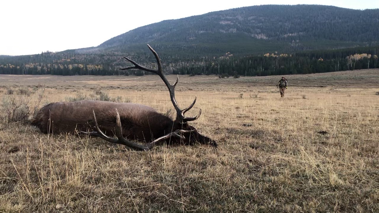 Utah Elk Hunt 2020 YouTube utah-elk-hunt-2020-youtube