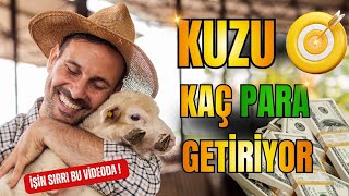 🎯💥KASAPLIK KUZU |GERÇEK KÂR SIRRI💰🔥#koyunculuk #koyun #kuzu #küçükbaş #besicilik #hayvancılık #köy