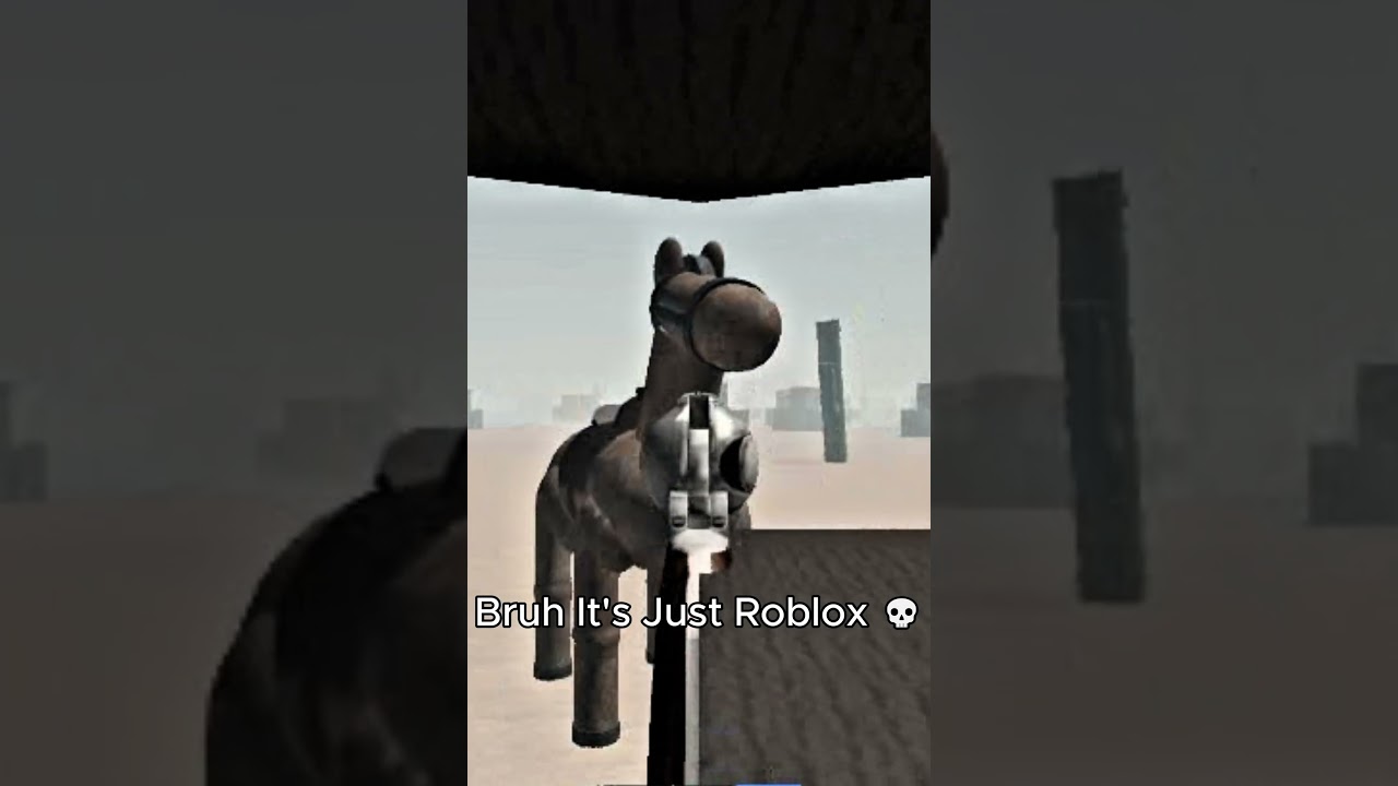 Bruh It's Just Roblox 💀