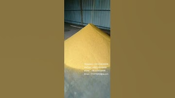 Coated seed recycling production line | defective soybean processing