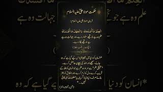 #HikmatMoulaAliAS #ShortsVideo #Wisdom #ImamAli #IslamicShorts#NahjulBalagha