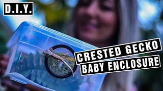 Crested Gecko Baby Enclosure  How to Set Up a Hatchling Bin  DIY