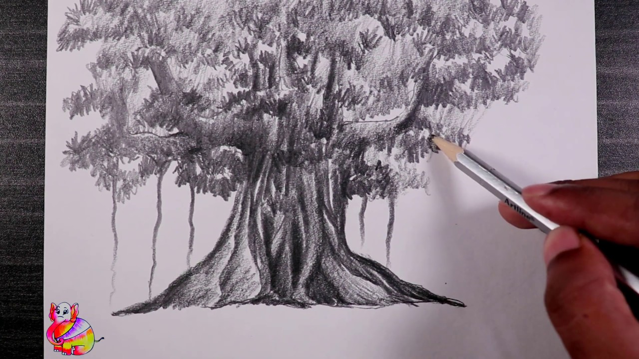 Art192|How to draw a Banyan tree step by step for beginners|How to draw ...