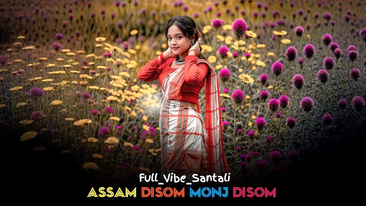 ASSAM_DISOM_MONJ_DISOM || Santali Ai Cover Song ||  Lithur Arang 