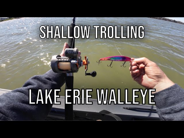 Trolling Shallow for MONSTER Lake Erie Walleye 